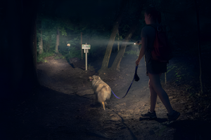 Lighting the Way with Reliable Flashlights