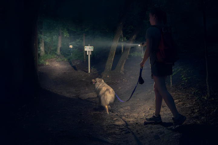 Lighting the Way with Reliable Flashlights