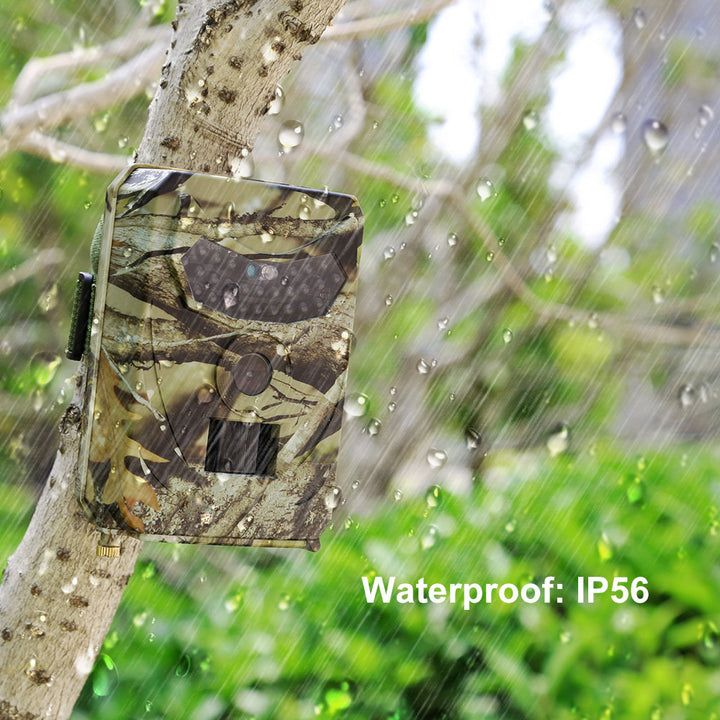 1080P Infrared Night Vision Trail Hunting Camera